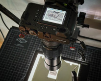 Camera Scanning Black-and-White Negatives