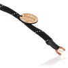 Entreq Eartha Infinity Challenger ground cable