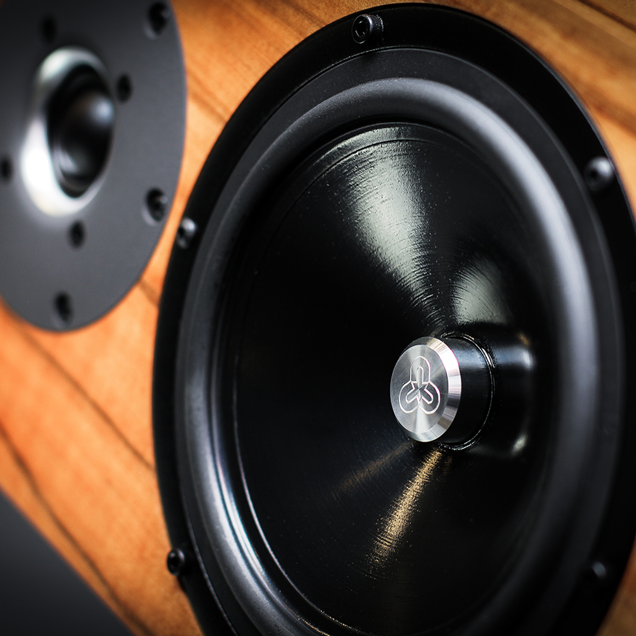 Kudos Audio Super 20A speakers