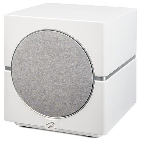 Martin Logan Dynamo 10 subwoofer