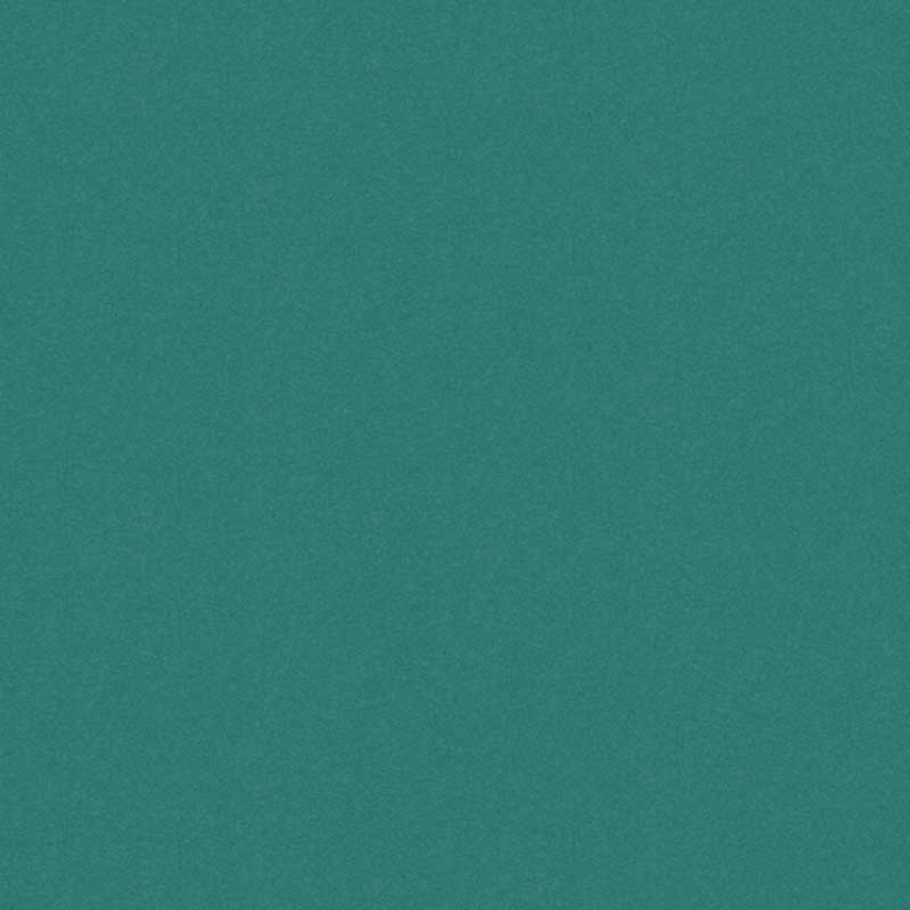 754__95412.1727385574.jpg?c=1