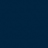 Nissan B53, Indigo Blue Metallic