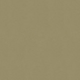 Suzuki ZLG, Golden Mist Metallic