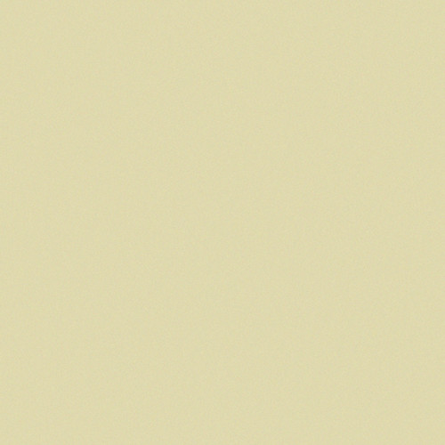 Kawasaki Luster Beige