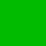 Kawasaki New Lime Green
