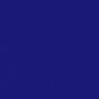 Kawasaki Nocturn Blue