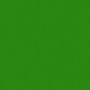 Kawasaki Candy Lime Green