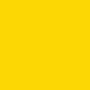 Can-Am Millennium Yellow Pearl Tricoat