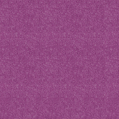 Purplevioletさま専用 V08__51206.1740703095.386.513.