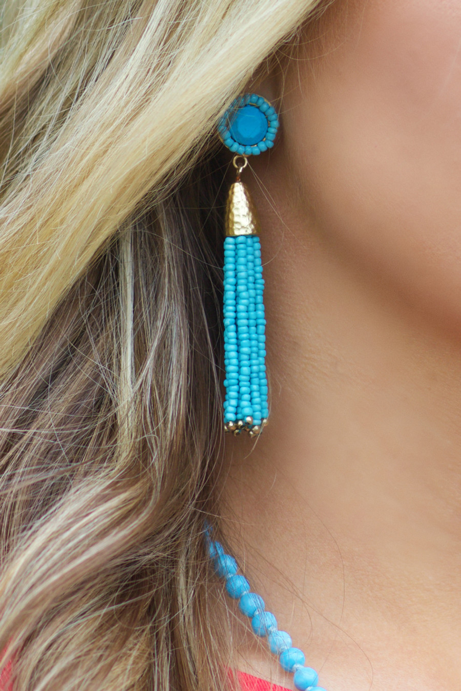 Livin' The Dream Earrings: Turquoise 