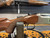 PRE-OWNED Winchester 101 Lightweight 12 Gauge