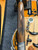 Blaser F16 Pro Sport 32"