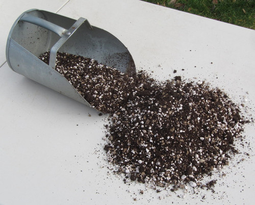 Valley Succulents Cactus and Succulent soil 5 KG