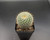 Cylindrical cactus with white spines, pink flowers, clustering growth, drought-tolerant, full sun, ornamental plant.