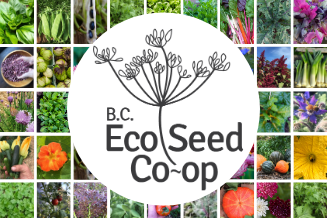 bc-eco-seed-summarycard-1.png
