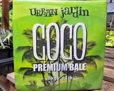 Urban_Coco_fr__54287.