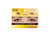 Ardell TexturEyes 575