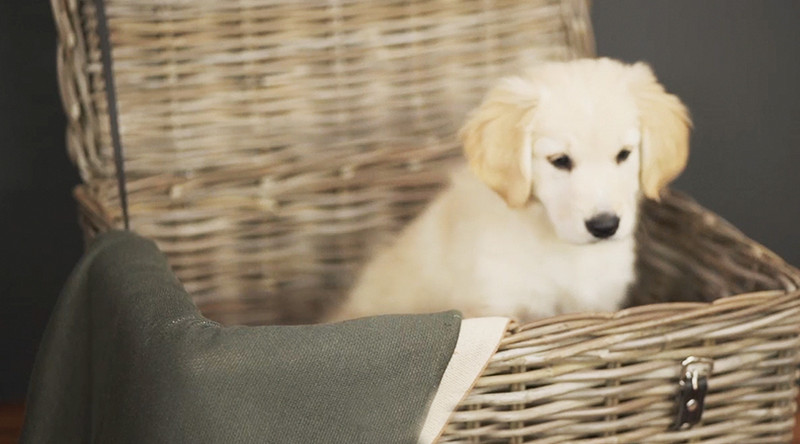 Our Focus on Sustainable and Reusable Gifts