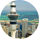 Same Day <br/>Auckland Delivery