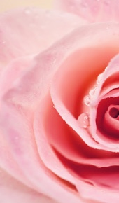 Gifts <br> for Her
