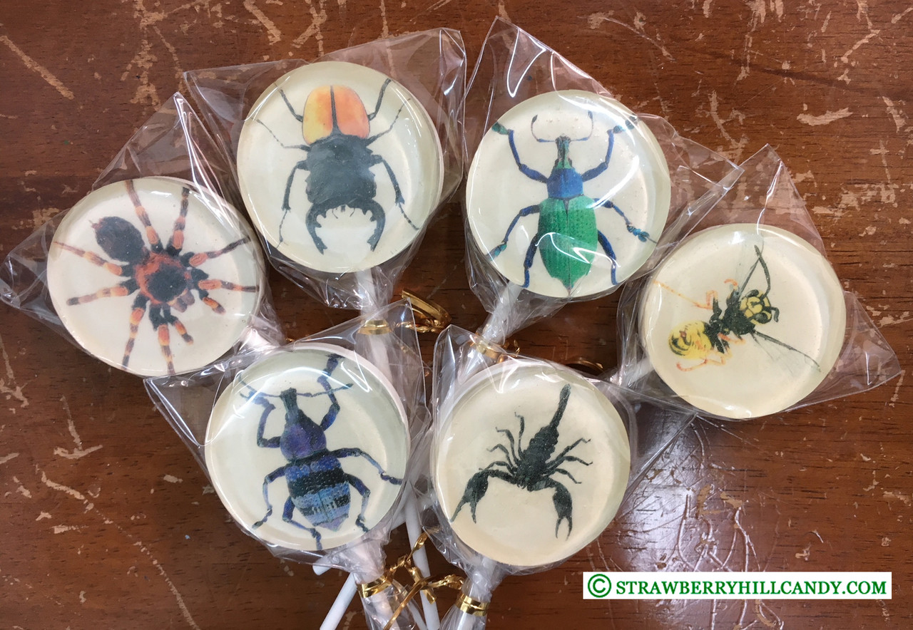 Assorted Insect Lollipops 25 Count Display - Strawberry Hill Candy