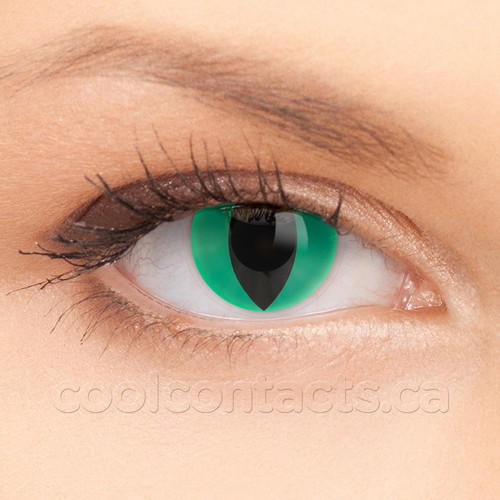 Green Cat Contact Lenses shown on an eye