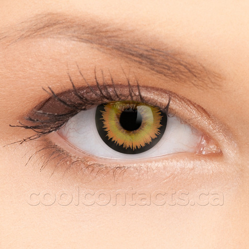 Werewolf Contact Lenses shown on an eye