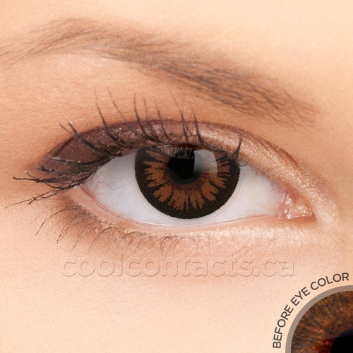 2 T Pure Hazel Contact Lenses shown on brown eyes