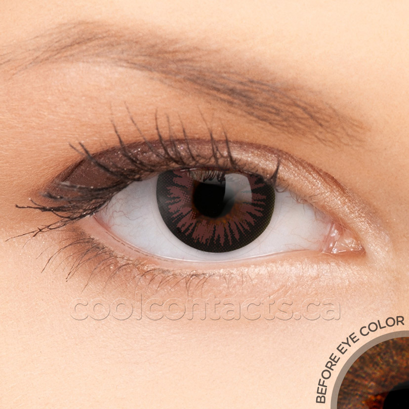 2-t-cocoa-0623-brown.jpg