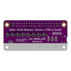 Maker pHAT: Simplifying Raspberry Pi for Education
