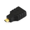 MicroHDMI-HDMI Adapter