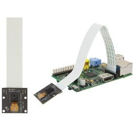 Raspberry Pi NoIR Camera Module