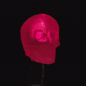 dLUX-dLITE Red Skull Shape LEDs 5 Pack