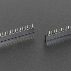 2X2 Pin, 2.54mm Double Row Female Straight Header - PiShop.us
