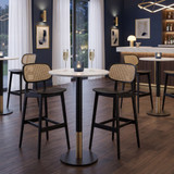Marcelo Bar Stool - Natural Cane Back