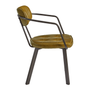 Thiery Arm Chair