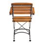 Georgia Robinia Folding Arm Chair