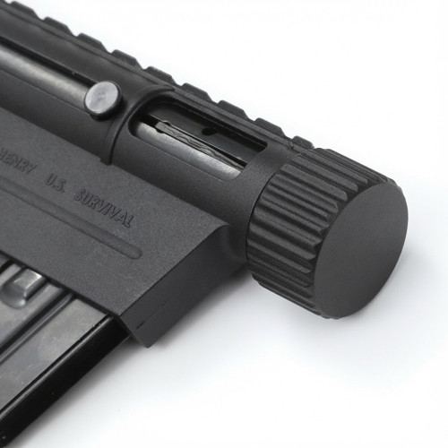 AR-7 Dust Cover
