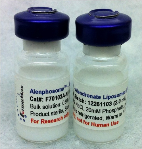 Alenphosome™ - A- Alendronate Liposomes (Anionic)