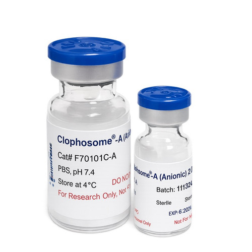 Clophosome®-A - Research Grade Clodronate Liposomes (Anionic)