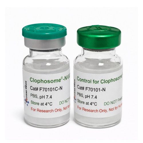 Combo: Clophosome® and Control Liposomes