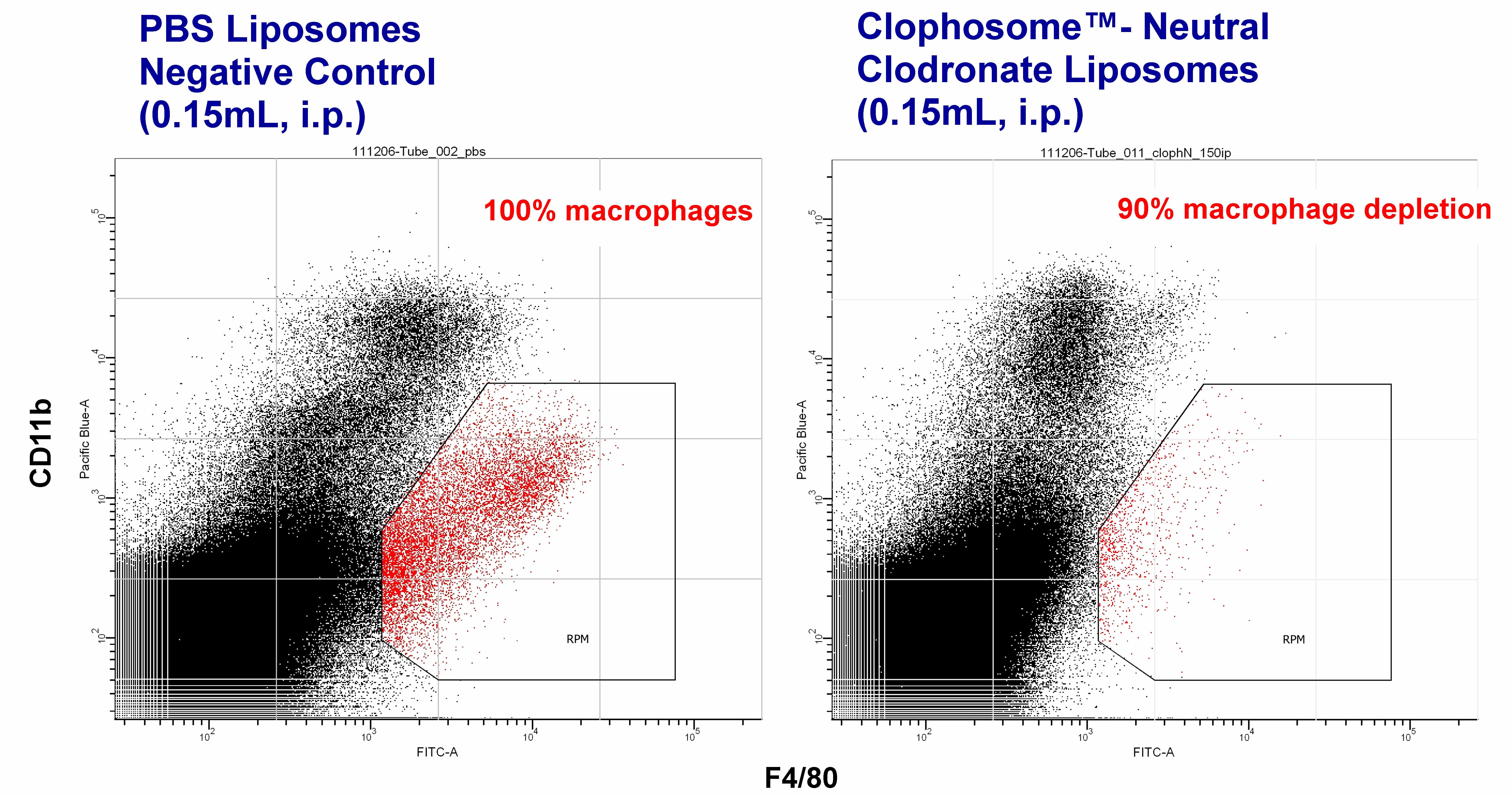 clophosome-flow-cyto-ip.jpg