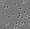 Polycarbonate membrane