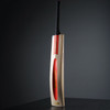 Gray Nicolls Scoop 50 Classical Edition Cricket Bat