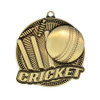 Cricket Medal Tempo Series