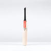 Gray Nicolls Legend Platinum Edition Cricket Bat