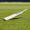 SS Players 5000 English Willow Cricket Bat