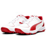 Puma 24 FH Rubber Cricket Shoes