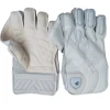 SG HILITE Wicket Keeping Gloves – Premium Cricket Gloves for Superior Control
