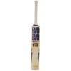 SS Gama Player Tilak Varma English Willow Cricket Bat